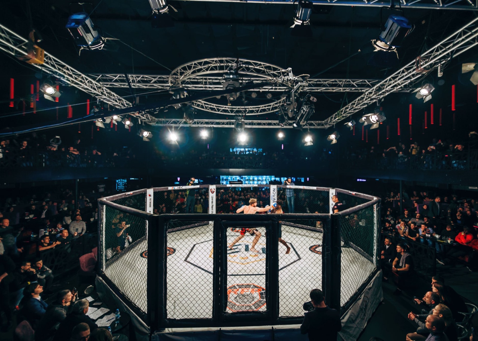 The cage at the centre of a full arena, viewed from the audience.